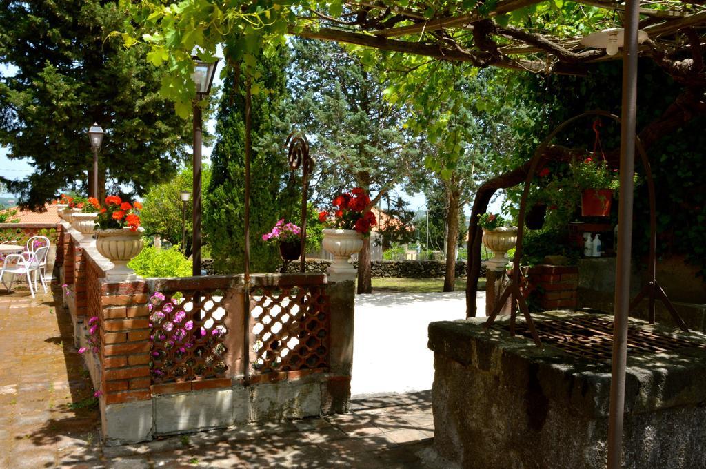Villa Bonaccorso - Antica E Maestosa Villa Con Piscina Ai Piedi Dell'Etna Виагранде Экстерьер фото