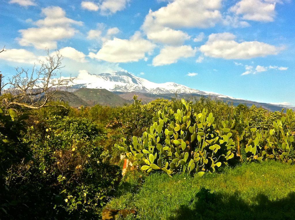 Villa Bonaccorso - Antica E Maestosa Villa Con Piscina Ai Piedi Dell'Etna Виагранде Экстерьер фото
