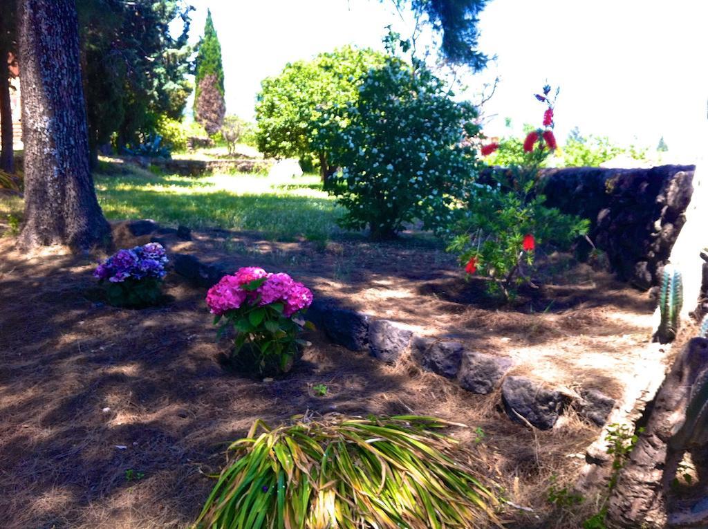 Villa Bonaccorso - Antica E Maestosa Villa Con Piscina Ai Piedi Dell'Etna Виагранде Экстерьер фото