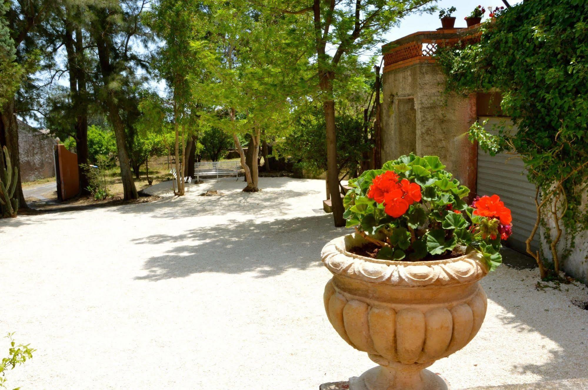 Villa Bonaccorso - Antica E Maestosa Villa Con Piscina Ai Piedi Dell'Etna Виагранде Экстерьер фото